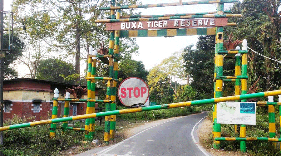 Buxa Tiger Reserve Tour Package