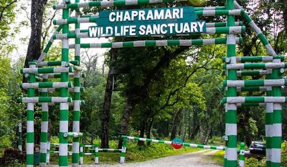 Chapramari Wildlife Sanctuary Tour Package