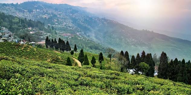 Darjeeling – The Queen of Hills