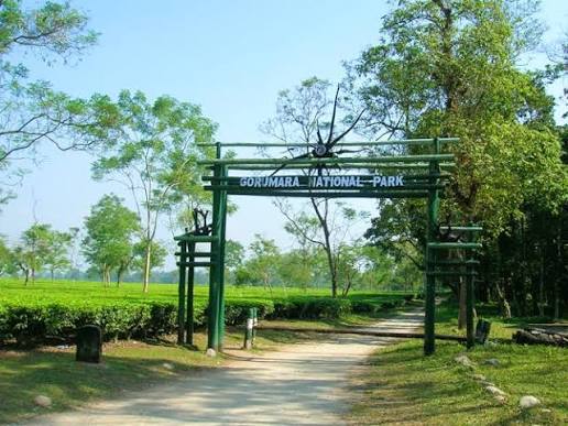 Gorumara National Park Tour Package