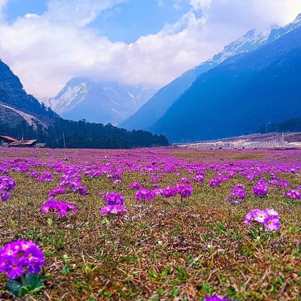 Places To Visit In Lachung